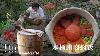 Handmade Wooden Barrel Chinese Bacon Rice Xiaoxi Traditional Crafts Cooking In Village